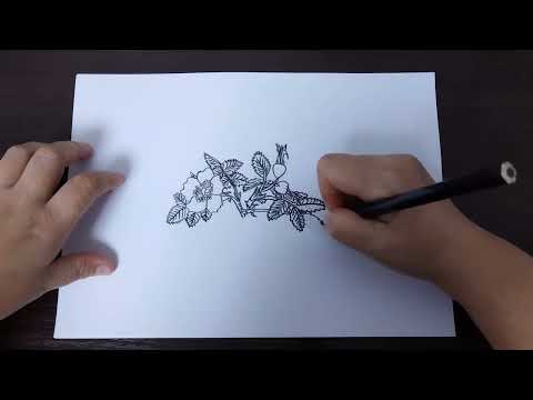 Видео: АСМР рисую шиповник 🌿 Истории из жизни. Легенда. Поболтаем перед сном. Шепот. Видео и звуки для сна.