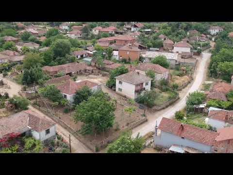 Видео: НАШЕ КУЧИЧИНО