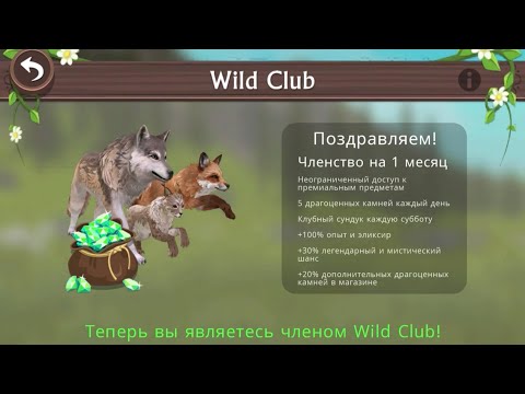 Видео: ПОДПИСАЛАСЬ НА WILD CLUB! КАЙФ!