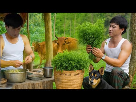 Видео: Приключения генерального директора и Микки в джунглях: от диких овощей до уютного ужина на веранде