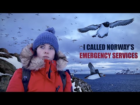 Видео: ОКАЗАЛСЯ В ОДИНОЧЕСТВЕ на острове арктических тупиков