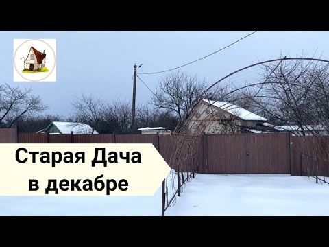 Видео: Что можно делать на даче зимой? Архив 18 декабря 2023.