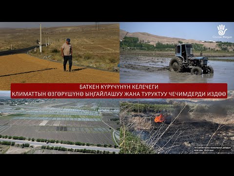 Видео: Баткен күрүчүнүн келечеги/Климаттын өзгөрүшүнө ынгайлашуу жана туруктуу чечимдерди издөө