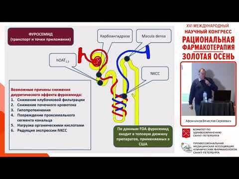 Видео: Клиническая фармакология диуретиков. Афончиков
