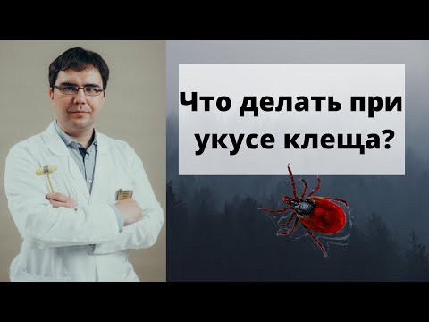 Видео: Что делать если укусил клещ и как этого избежать?