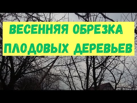 Видео: Обрезка сада весной, нужна или нет