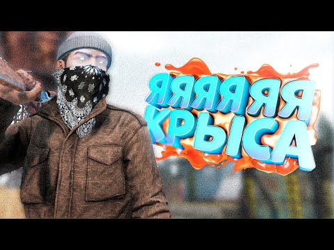 Видео: ПОДСТАВИЛ ВСЕ ГРУППИРОВКИ в DayZ [STALKER RP]