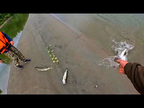 Видео: ТОЛЬКО ПОСТАВИЛИ РЕЗИНКИ И СРАЗУ ТАКОЕ! Сын тащит ЩУКУ БОЛЬШЕ СЕБЯ, ЧУТЬ С ЛОДКИ НЕ ВЫЛЕТЕЛ!