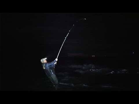 Видео: Первая в этом сезоне ловля трески | Ловля трески в Шотландии