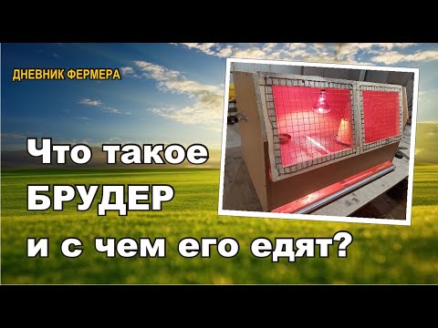 Видео: Брудер для цыплят! Смотрите до конца 4 вида разных брудеров в одном хозяйстве.