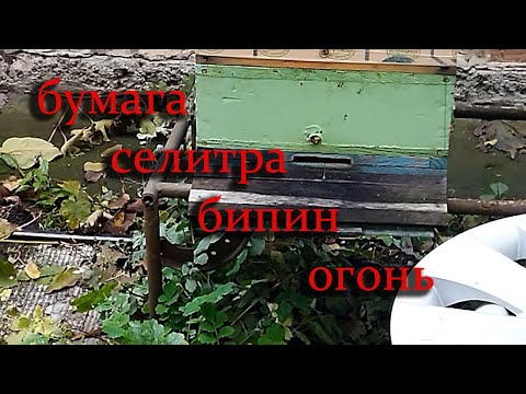 Видео: Дымление полосками с бипином.
