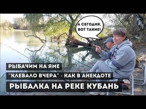 Видео: Рыбалка на реке Кубань / Снова на яме / Последний день октября