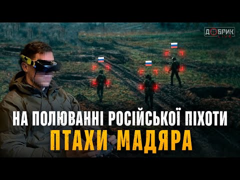 Видео: ПТАХИ МАДЯРА. Як полюють на російську піхоту? Бойове чергування з екіпажем FPV під Покровськом