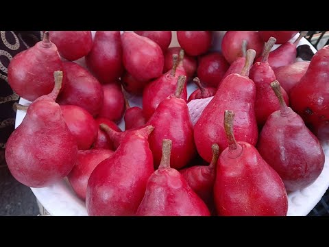 Видео: ПАРКЕНТ ДЕХКОН БОЗОРИ. 20 .09.25.  ТОШКЕНТ ВИЛОЯТИ.УЗБЕКИСТОН.