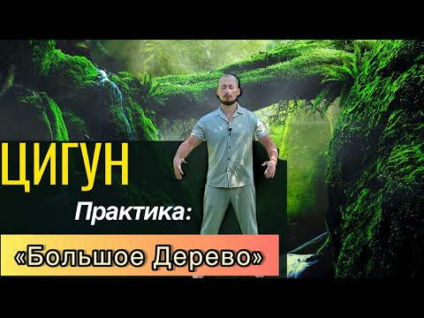 Видео: Цигун/Самая эффективная и древняя практика цигун/Упражнение цигун "Большое Дерево".