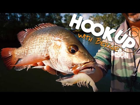 Видео: Почему мангровые ставриды — Святой Грааль рыбалки || Рыбалка на реке Твид