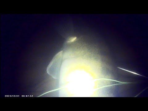 Видео: Подводная охота, р.Десна 2025 р. Трофейний судак @TEULU999 