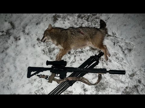 Видео: 25.01.2025 г. Очередной вечер охоты на шакала в Волгоградских степях. Прицел Sytong XM06-50LRF.