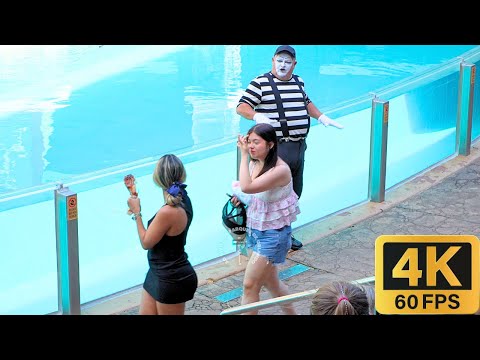 Видео: Мим Том устроил очень смешное и уморительное шоу 😂🤣 #tomthemime #seaworldmime