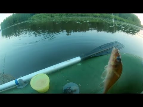 Видео: рыбалка на оз.Бабинское. ловим на поплавок.