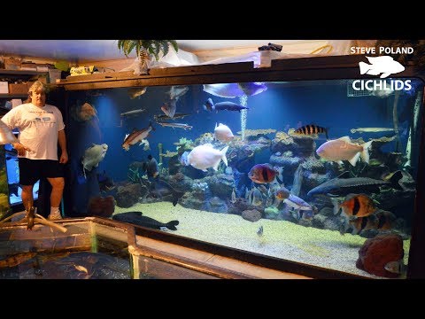Видео: Большие аквариумы, большая рыба и большие богатства — гастроли по спасению рыб в Огайо