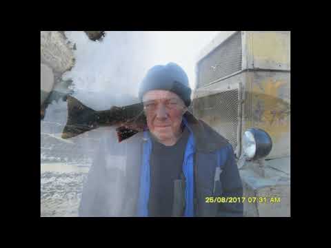 Видео: Артель Полярная.