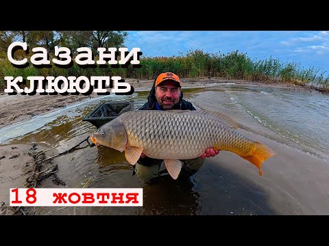 Видео: РАНО ще ЗАКРИВАТИ СЕЗОН! САЗАНИ ще КЛЮЮТЬ! Always with Kruchkoff