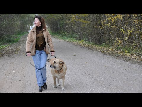 Видео: Неадекватные Клиенты. Часть 2.