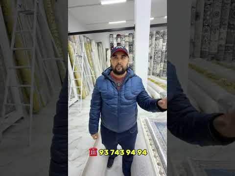 Видео: 10 ноября 2025 г.