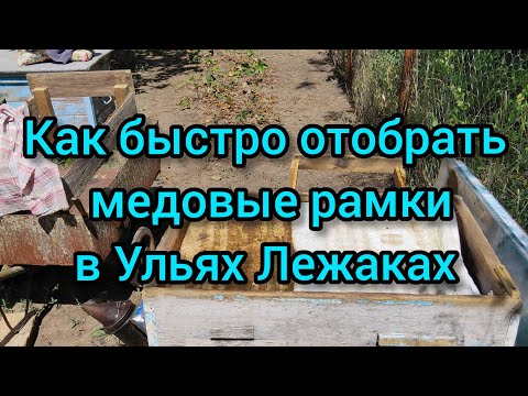 Видео: КАК БЫСТРО ОТОБРАТЬ МЕДОВЫЕ РАМКИ |ЛАЙФХАК УЛЕЙ ЛЕЖАК|