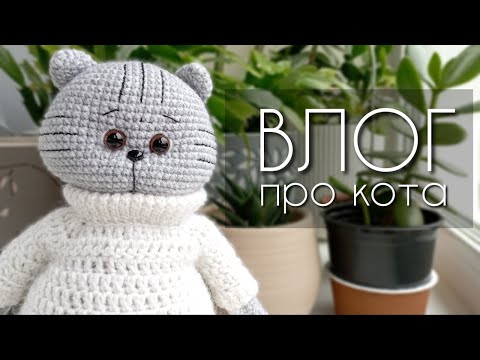 Видео: Вся в вязании кота 🐱