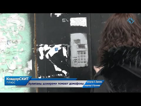 Видео: Хулиганы шокером ломают домофоны