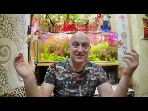 Видео: Аквариумный рай Часть 5 . Манка  ( ихтиофтириоз ) . Лечение и избавление от болезни фуразолидоном .