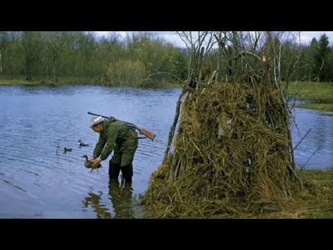 Видео: Охота из скрадка с подсадной уткой осенью