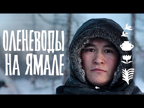 Видео: Застряли НА СНЕГОХОДАХ в -40. 1000 км по тундре и БЫТ ЛЮДЕЙ на ЯМАЛЕ