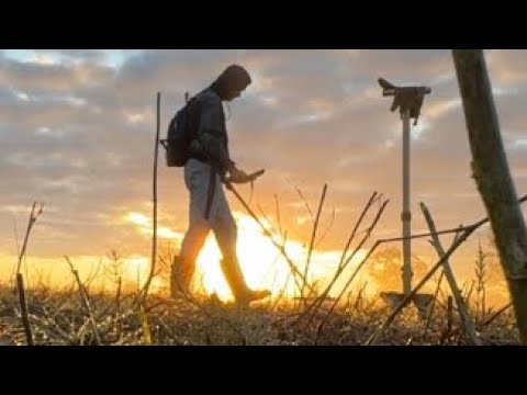 Видео: КОП! ЗДЕСЬ ОСТАНАВЛИВАЛИСЬ ТОРГОВЫЕ КАРАВАНЫ! METAL DETECTING