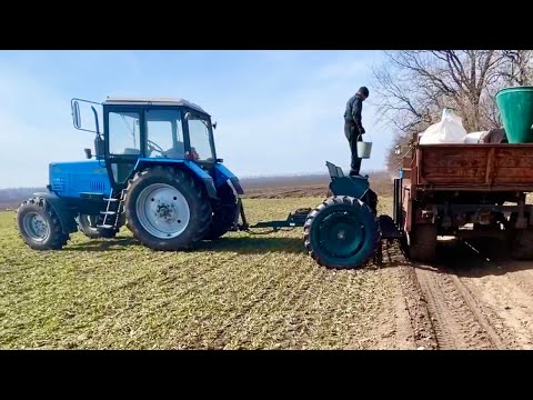 Видео: Підживлення озимої пшениці, хоть по 100кг , краще ніж нічого