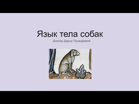 Видео: Язык тела собак