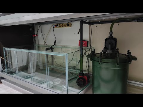 Видео: Самп из б/у аквариума, скоро запуск.
