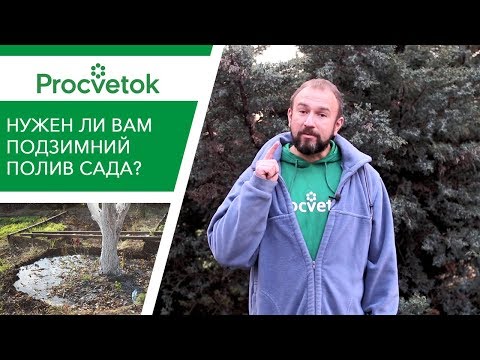 Видео: Что такое ВЛАГОЗАРЯДНЫЙ ПОЛИВ? Нужен ли вам влагозарядный полив?