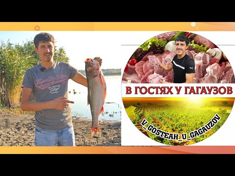 Видео: Шашлык из толстолоба/ Silver carp kebab