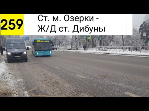 Видео: Автобус 259. Ст. м. Озерки - Ж/Д мт. Дибуны