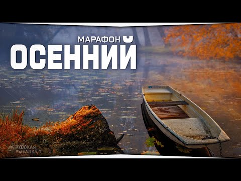 Видео: Осенний марафон • Выполняю квесты • Русская Рыбалка 4