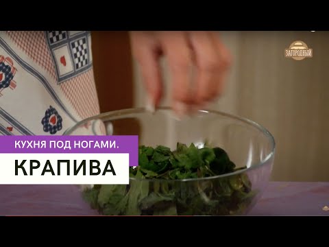 Видео: Крапива \ Кухня под ногами
