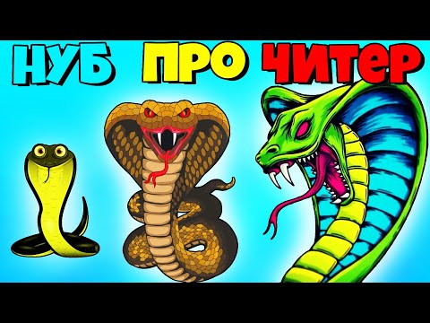 Видео: ЭВОЛЮЦИЯ РАЗМЕРА ЗМЕИ, МАКСИМАЛЬНЫЙ УРОВЕНЬ!  Snake Evolution Run