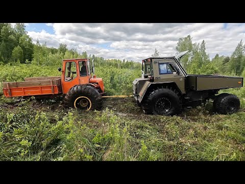 Видео: Новый т-16 против старого! Битва поколений на болоте!