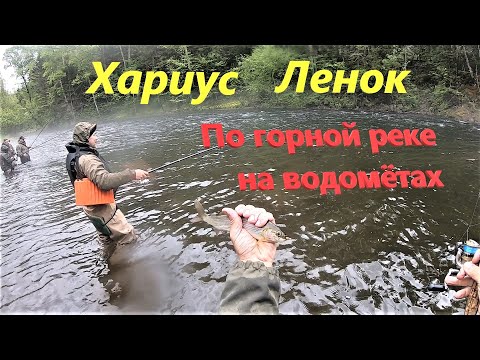Видео: Рыбалка на горной реке. Хариус Ленок. часть 1