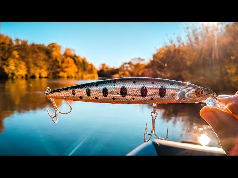 Видео: Pontoon21 Cablista отличный воблер по пассивной щуке. Щука твичингом в октябре.