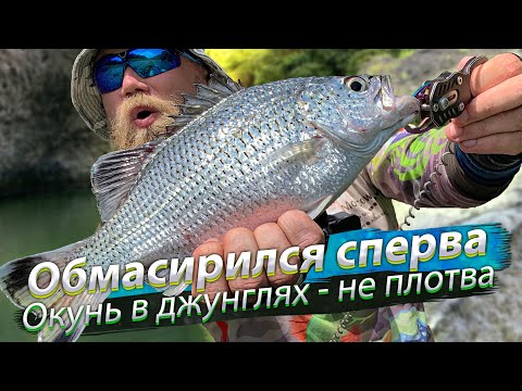 Видео: Неуловимый ОКУНЬ ДЖУНГЛЕЙ! Рыбы много, но поймать целевую очень сложно. Лазаем по джунглям.