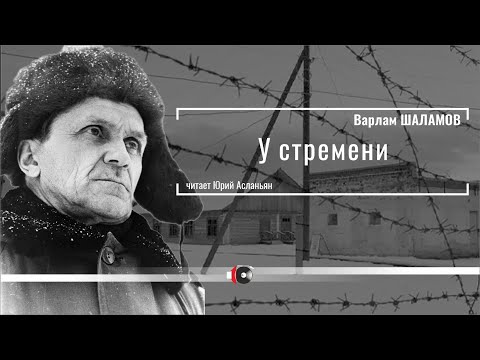 Видео: Варлам ШАЛАМОВ "У стремени" читает Юрий Асланьян
